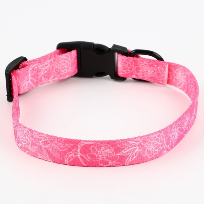 Ошейник My littlle princess, застёжка - фастекс, 2 см 25-40 см Ошейник My littlle princess, застёжка - фастекс, 2 см 25-40 см