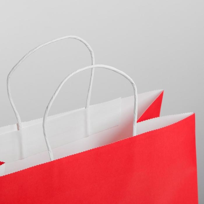 Пакет подарочный новогодний крафт «С НГ», 25 х 22 х 12 см, Новый год Пакет подарочный новогодний крафт «С НГ», 25 х 22 х 12 см, Новый год