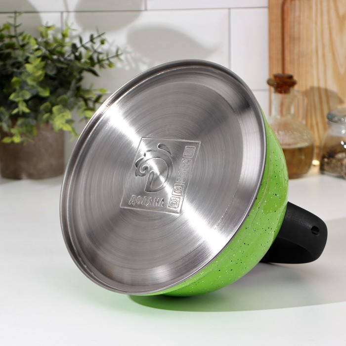 Чайник со свистком из нержавеющей стали Доляна «Рио», 2,8 л, фиксированная ручка, цвет зелёный Чайник со свистком из нержавеющей стали Доляна «Рио», 2,8 л, фиксированная ручка, цвет зелёный