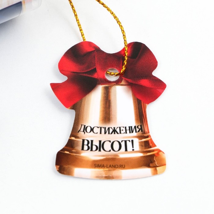 Ручка шариковая на выпускной в тубусе «Достижения высот!» пластик, синяя паста, 1.0 мм Ручка шариковая на выпускной в тубусе «Достижения высот!» пластик, синяя паста, 1.0 мм