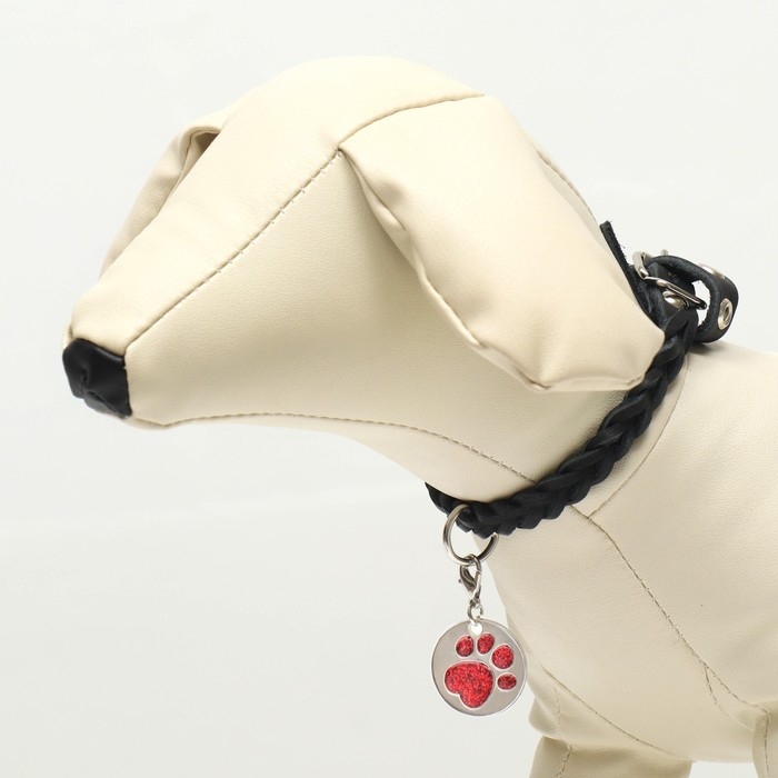 Адресник под гравировку Адресник под гравировку "Блестящая лапка" с карабином, 2,2 см, красный