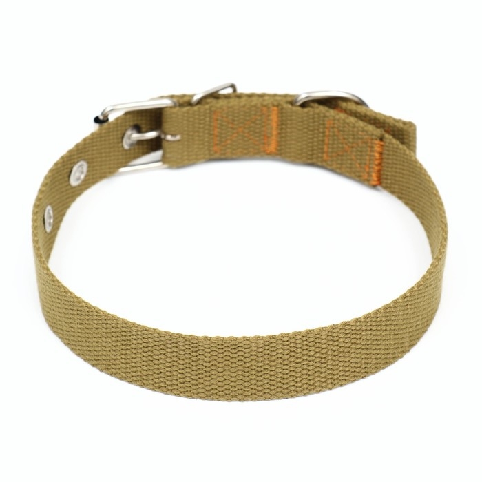 Ошейник брезентовый однослойный, 58 х 2,5 см, песочный Ошейник брезентовый однослойный, 58 х 2,5 см, песочный
