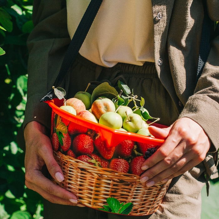 Ёмкость для сбора ягод, 3 л, «Корзина», красная