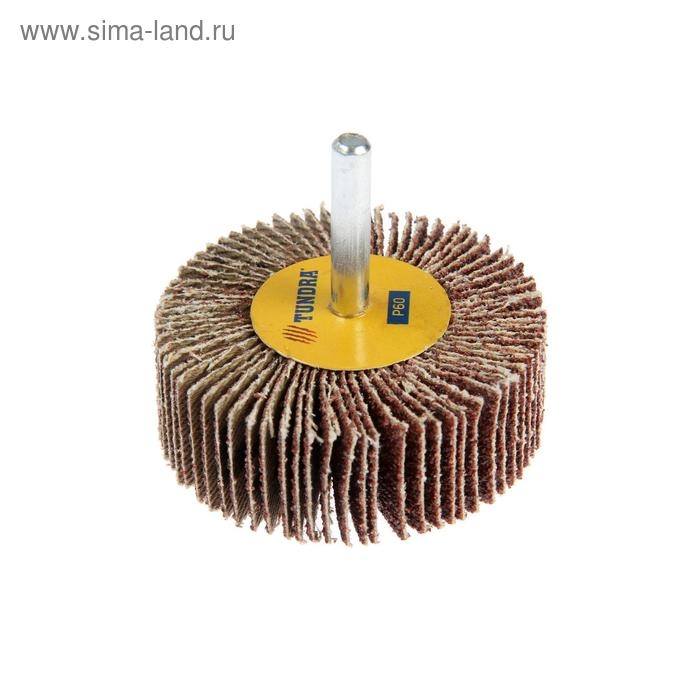 Круг лепестковый радиальный ТУНДРА, 60 х 20 х 6 мм, Р60 Круг лепестковый радиальный ТУНДРА, 60 х 20 х 6 мм, Р60