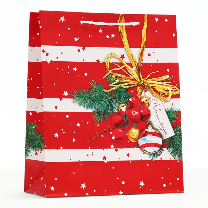 Новый год. Пакет подарочный Новый год. Пакет подарочный "Новогоднее украшение", 26 х 32 х 12 см.