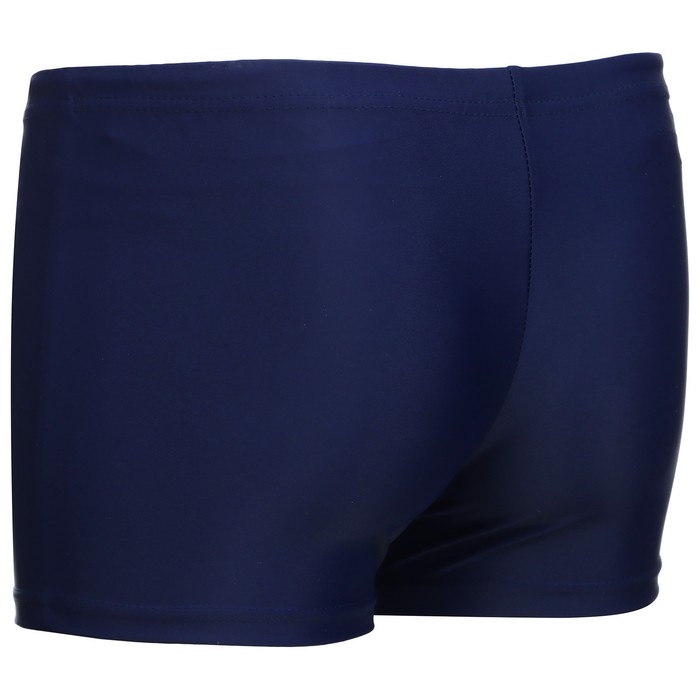 Плавки для плавания ONLYTOP, р. 52, цвет синий Плавки для плавания ONLYTOP, р. 52, цвет синий