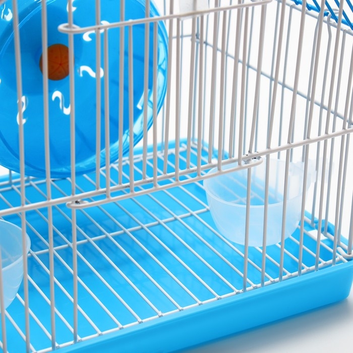 Клетка для грызунов укомплектованная RT-2c, 23 х 16,5 х 20 см, голубая Клетка для грызунов укомплектованная RT-2c, 23 х 16,5 х 20 см, голубая