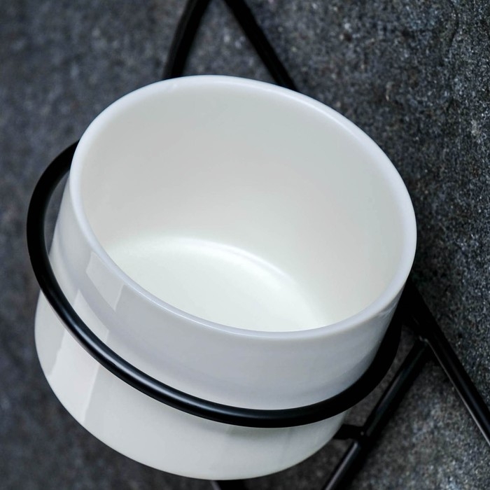 Горшок настенный Горшок настенный "Салли" с черной подставкой, 17х8х17см