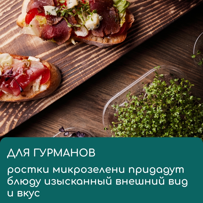 Коврик из кокосового волокна, для выращивания микрозелени, 50 × 25 см, Greengo Коврик из кокосового волокна, для выращивания микрозелени, 50 × 25 см, Greengo