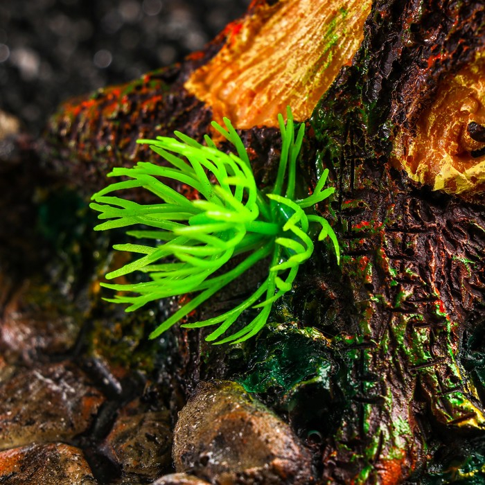 Кормушка для террариума, 17,5 х 11,5 х 8,5 см Кормушка для террариума, 17,5 х 11,5 х 8,5 см