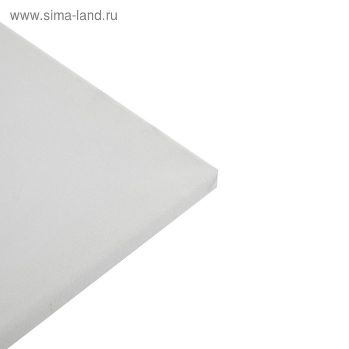 Холст на подрамнике, хлопок 100%, 50 х 60 х 1.8 см, акриловый грунт, мелкозернистый, 280 г/м² Холст на подрамнике, хлопок 100%, 50 х 60 х 1.8 см, акриловый грунт, мелкозернистый, 280 г/м²