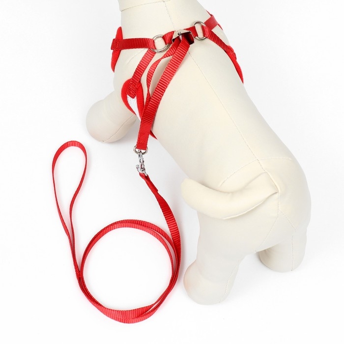 Комплект с мягкой шлейкой и бантиком, размер L, поводок 120 x 1,5 см, ОГ 35-50 см, красный Комплект с мягкой шлейкой и бантиком, размер L, поводок 120 x 1,5 см, ОГ 35-50 см, красный