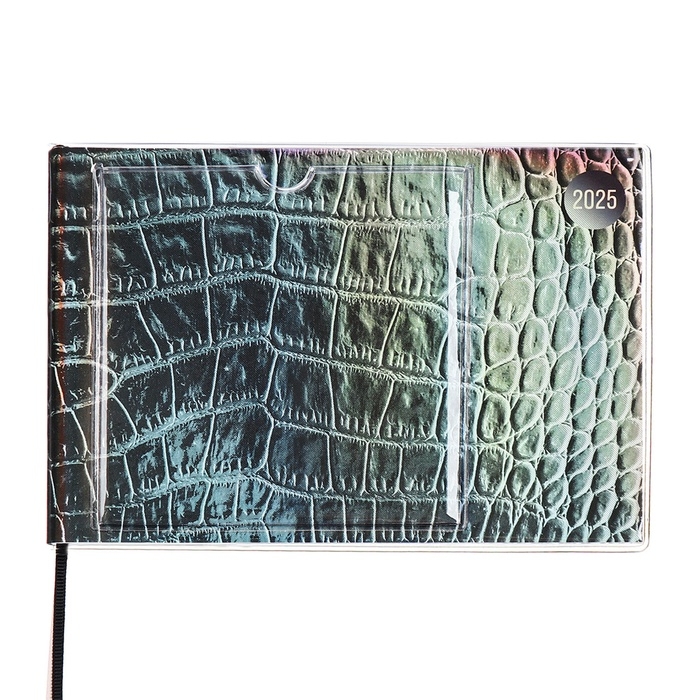 Еженедельник датированный 2025 год, ESCALADA  Еженедельник датированный 2025 год, ESCALADA "змея металлик", мягкая обложка ПВХ, 64 листа, блок 70 г/м², 180 х 127мм