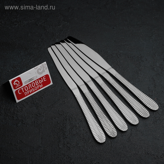 Ножи столовые Доляна «Фараон», длина 20 см, 6 шт, цвет серебряный