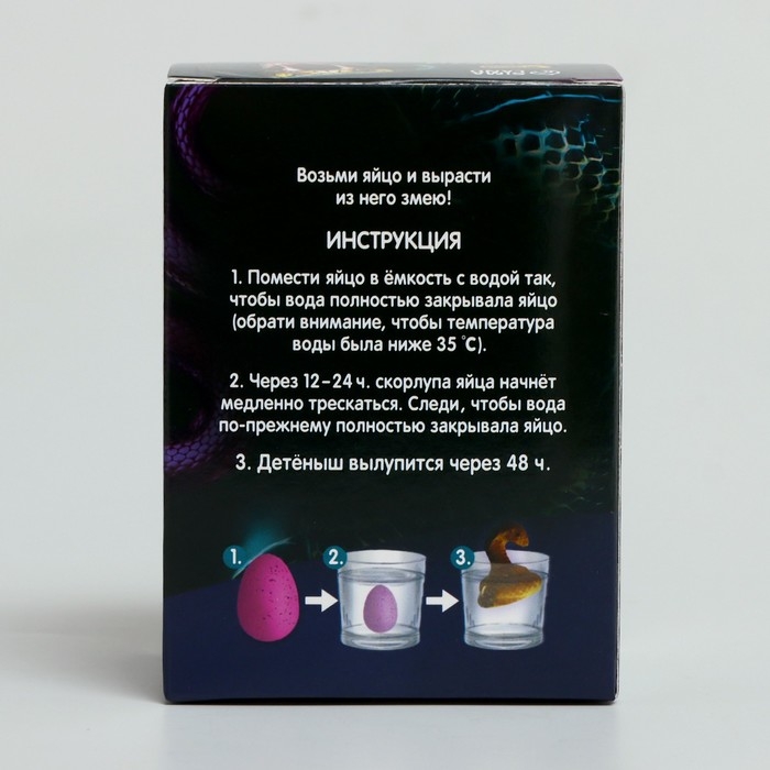 Набор для творчества. Вырасти своего питомца «Змея» Набор для творчества. Вырасти своего питомца «Змея»
