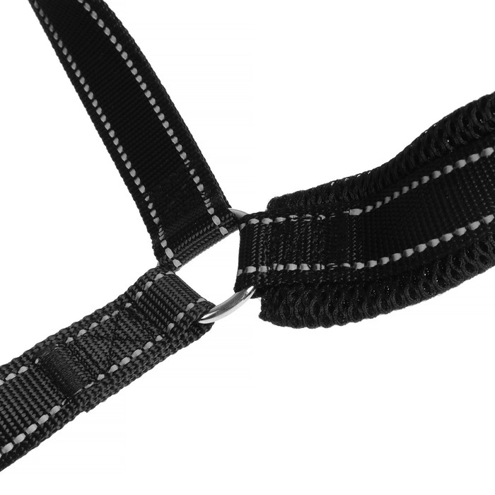 Недоуздок для лошади, регулируемый, черный Недоуздок для лошади, регулируемый, черный