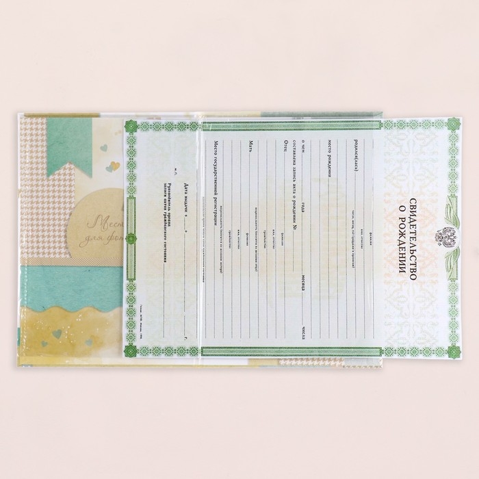 Свидетельство о рождении Свидетельство о рождении "Мишка" тиснение, А5