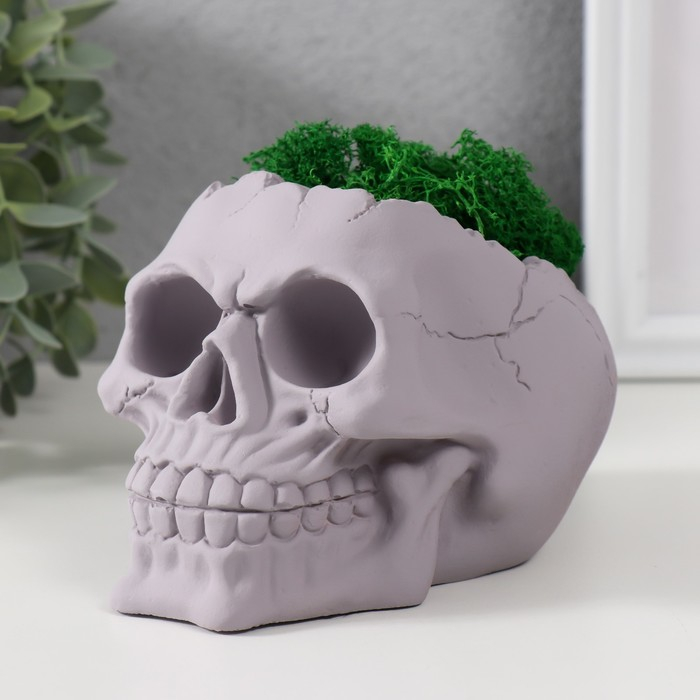 Кашпо бетонное Кашпо бетонное "Череп" высота 10 см серое со мхом (мох зеленый стабилизированный)