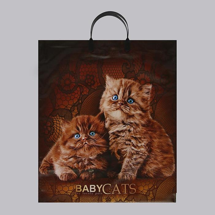 Пакет  Пакет "Бэбикэтс", полиэтиленовый с пластиковой ручкой, 40 х 44, 100 мкм