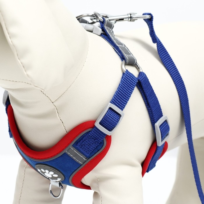 Комплект Sport+, L, поводок 120 x 1,5 см, ОШ 49-56 см, ОГ 56-68 см, вес животного 20-28 кг, синий 9 Комплект Sport+, L, поводок 120 x 1,5 см, ОШ 49-56 см, ОГ 56-68 см, вес животного 20-28 кг, синий 9