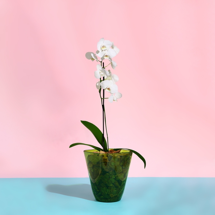 Горшок для орхидей, 2,5 л, 16,4 &times; 18,5 см, пластик, прозрачно-зелёный