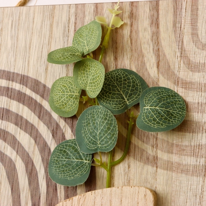 Крючки декоративные дерево Крючки декоративные дерево "Абстракция. Прямоугольник. Цветок" 1,5х19,5х23,5 см