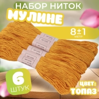 Набор ниток мулине №783, 8 ± 1 м, 6 шт, цвет топаз