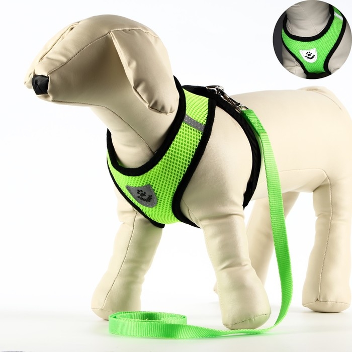 Комплект амуниции с мягкой шлейкой и светоотражающей нашивкой, L, ОШ 33 см, ОГ 36-48, зелёный Комплект амуниции с мягкой шлейкой и светоотражающей нашивкой, L, ОШ 33 см, ОГ 36-48, зелёный