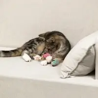 VETTA Игрушка для домашних животных, набор 2 шт, пластмасса, мышки