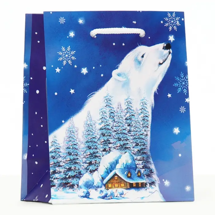 Пакет подарочный «Полярный мишка», 11.5×14.5×6.5 см Пакет подарочный «Полярный мишка», 11.5×14.5×6.5 см