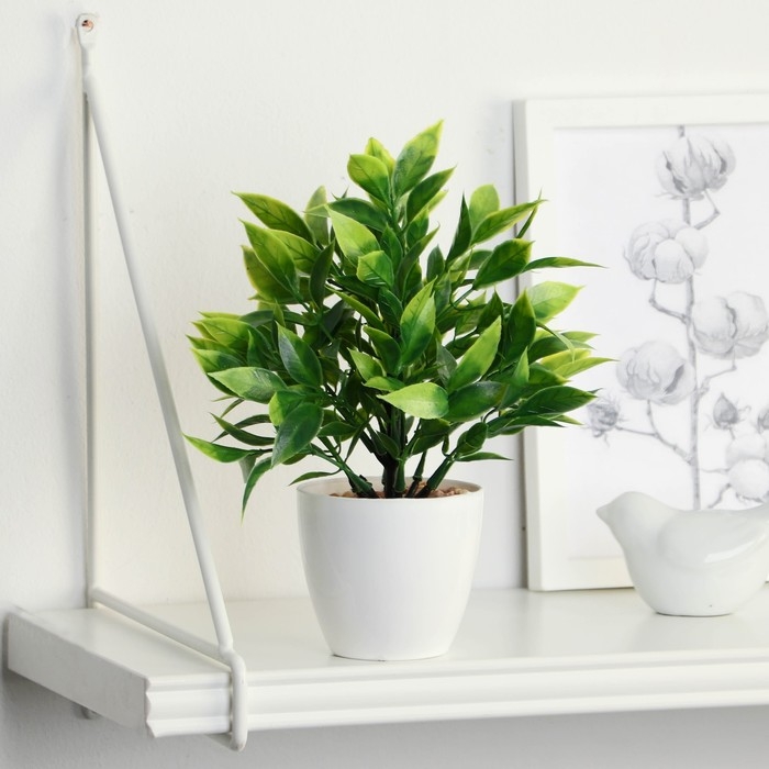 Бонсай в горшке Бонсай в горшке "Людвигия галант" 7,5х18 см, микс