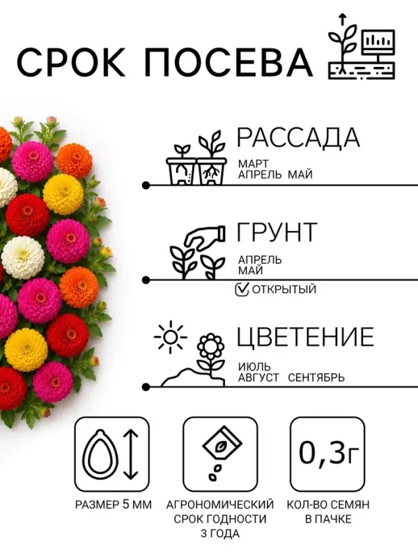 Семена цветов Цинния &laquo;Лилипут&raquo; смесь, 0.3 г, &laquo;Сембат&raquo;