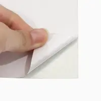 Зеркало настенное &laquo;Листья&raquo;, на клеевой основе, акриловое, 60&times;30 см