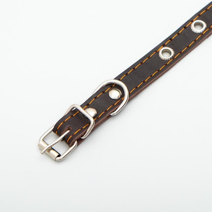 Ошейник кожаный однослойный с рифленными люверсами, безразмерный, 40 х 1,5 см, ОШ 27-35 см, корич700 Ошейник кожаный однослойный с рифленными люверсами, безразмерный, 40 х 1,5 см, ОШ 27-35 см, корич700