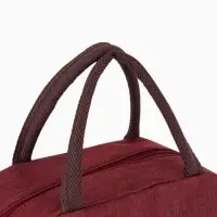 Термосумка на молнии, объём 6 л, цвет бордовый