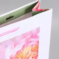 Пакет подарочный ламинированный, "Искусство природы" 33 х 42,5 х 10 см