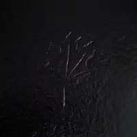 Подложка усиленная, 22 см, черный-белый, 3.2 мм