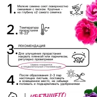 Семена комнатных цветов Глоксиния &laquo;Махровая смесь&raquo;, F1, &laquo;Агроуспех&raquo;, 5 шт.