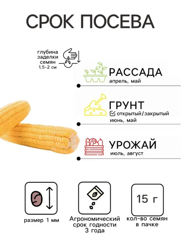 Семена Кукуруза &laquo;Белое облако&raquo;, &laquo; Агроуспех Много-Выгодно&raquo;, 15 г