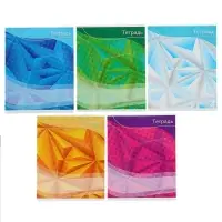 Тетрадь 48 листов в линейку Calligrata «Графика-2», обложка мелованный картон, блок №2, белизна 75% (серые листы), МИКС