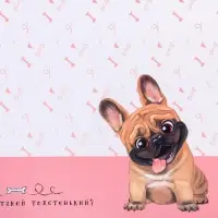 Коврик под миску «Кто это тут такой толстенький?» 43×28 см
