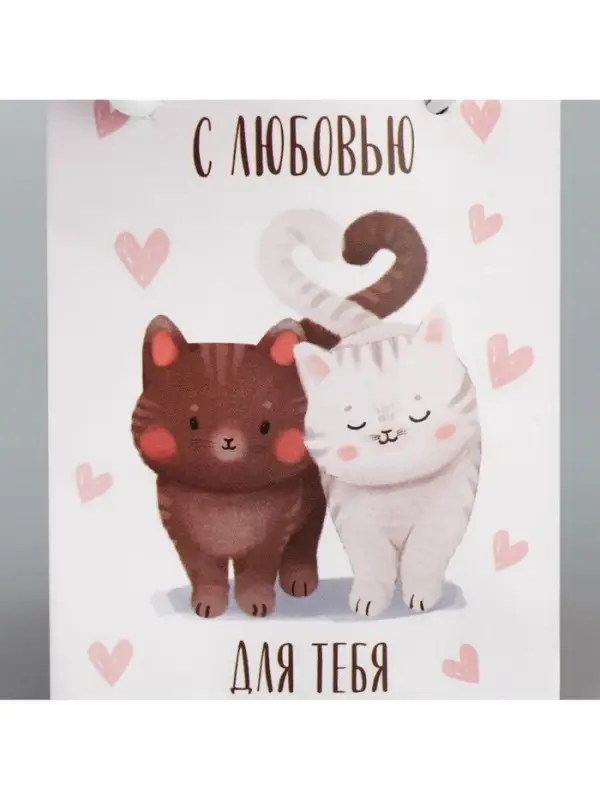 Пакет подарочный ламинированный, упаковка, «Котики», 7×10×7 см Пакет подарочный ламинированный, упаковка, «Котики», 7×10×7 см