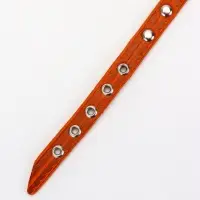 Ошейник кожаный однослойный украшенный, 1,2 см, ОШ 20-26 см микс цветов Ошейник кожаный однослойный украшенный, 1,2 см, ОШ 20-26 см микс цветов