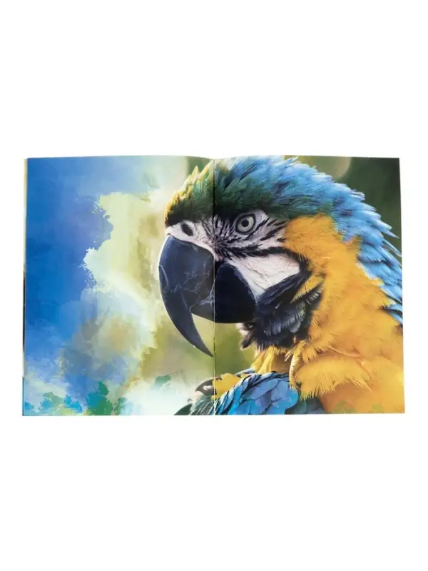 Энциклопедия 4D в дополненной реальности &laquo;Знакомство с животными&raquo;