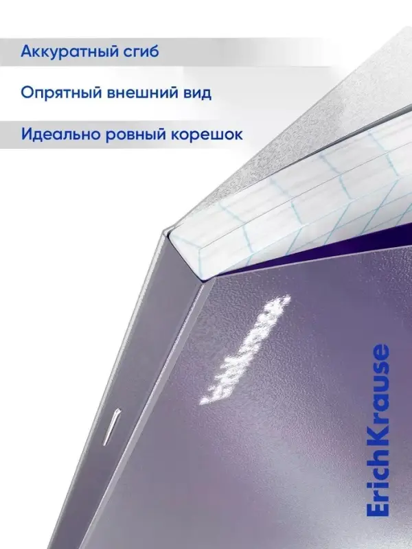 Набор предметных тетрадей ErichKrause Indigo, 12 предметов, 48 листов, с пластиковой обложкой