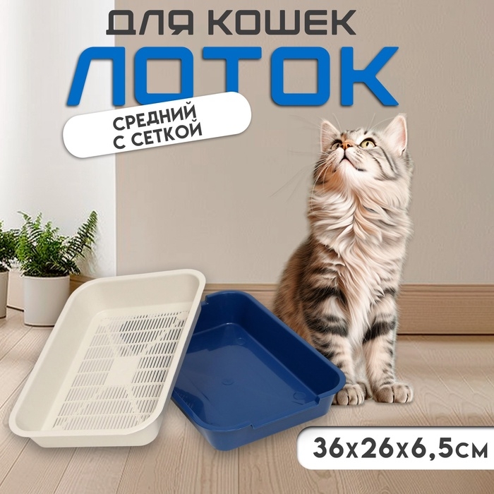 Туалет средний с сеткой 36 х 26 х 6,5 см, синий/бежевый Туалет средний с сеткой 36 х 26 х 6,5 см, синий/бежевый
