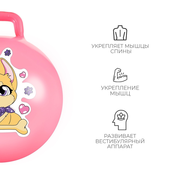 Мяч-прыгун с ручкой ZABIAKA «Корги», d=45 см, 380 г, цвет розовый Мяч-прыгун с ручкой ZABIAKA «Корги», d=45 см, 380 г, цвет розовый