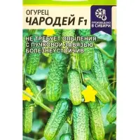 Семена Огурец &laquo;Чародей&raquo;, F1, 5 шт., &laquo;Семена Алтая&raquo;