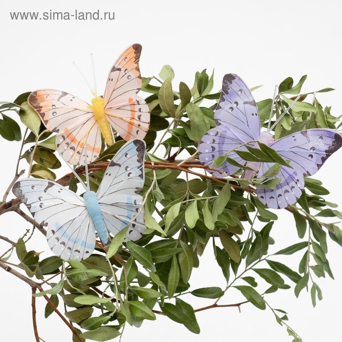 Бабочка для декора и флористики, на прищепке, пластиковая, микс, 1 шт., 7,5 х 5 х 1 см Бабочка для декора и флористики, на прищепке, пластиковая, микс, 1 шт., 7,5 х 5 х 1 см