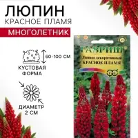 Семена цветов Люпин "Красное пламя", ц/п,  0,5 г